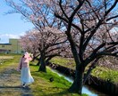 恋愛全般のお悩みを霊視鑑定いたします 相手の気持ちを見るのが得意、縁結び、思念伝達も可能です イメージ4