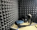 聞きやすい声を提供します 中〜低音ボイス、ナレーションからキャラクターボイス等様々！ イメージ1