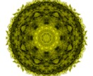 紋様的な円のアイコンを描きます イメージ3