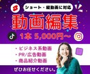 TikTokなどのショート動画編集サポートします ご要望を伺い親切&丁寧な動画制作します。 イメージ1