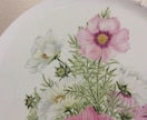 暑い夏が過ぎ秋がようやく訪れてきます 野山には秋の花々が咲き乱れてコスモス畑も満開です イメージ2