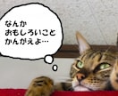 あなたの“たわいもない話”にゆるっと付き合います あなたはもう充分頑張ってる♪お気楽モードになりましょう♪ イメージ3