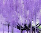 初回限定！貴方の身近な問題スピリチュアル鑑定します 本来の貴方のエネルギーを読み込みスピリチュアル鑑定致します イメージ4