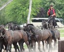 ハンガリー特化型の旅を提案します 朝は小鳥の声で目覚める旅籠滞在をプロデュース。 イメージ3