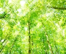 女性限定⭐︎　あなたのお話し相手になります お話することで、あなたの心が少しでも軽くなりますように イメージ1