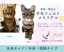 愛猫・愛犬のメモリアル羊毛フェルトを作ります 温もりを形に。いつでも一緒、本物の毛も使えるうちの子人形。 イメージ1