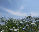 どんな内容でも真正面から真剣に真面目にお伺いします どんなお話でも何でもお聴き致します！よろしくお願いします！！ イメージ1
