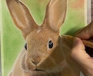 短時間で犬、うさぎをリアルに描く方法を教えます オンラインレッスン！似顔絵師で副収入！忙しいママさんでも上達 イメージ1