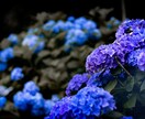 写真の編集、アイコラ（合成）画像の作成を代行します 映える写真、面白い写真、などをつくりたい人！！ イメージ2