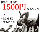 動画編集承ります お試し価格ですべて完結！（¥1,500 イメージ1