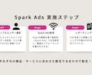 現役PRがTikTok広告運用で商品PRします 【美容特化】TikTok Spark Ads 運用サポート イメージ3
