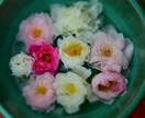 幸せを感じて頂くために出品します 大切な恋人や家族友人にプレゼントしてください、 イメージ10