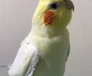 一人暮らしのご家族と、雑談お電話させて頂きます ご高齢の方など、主に一人暮らしの方との雑談をさせてください。 イメージ2