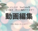 動画編集いたします そこのあなた！いい動画作る手助けさせてください！ イメージ1