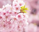 秘密厳守。傾聴。秘密の話聞きます 誰にも言えない話、ここで聞きます。否定しません。 イメージ1