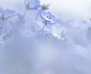 不倫、複雑愛、片思い、辛い恋の行方を占います お相手と結ばれるためのお手伝いを致します。 イメージ4