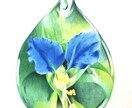 写真からペットイラストを色鉛筆で手描きします 写真とは違う温もりを優しいタッチで、心を込めて制作します イメージ4