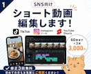 SNS向け縦型動画を見やすく編集します SNSで最後まで見てもらえる、テンポの良い動画を心がけます イメージ1