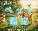 魂のカルテを作成し高次元波動で心身を読み解きます 「なぜ私を選んだの？」前世から続くペットとの魂の契約を解明 イメージ1