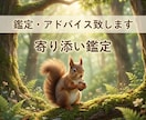 霊感タロットで悩める恋愛の本音を占います 言えない恋の悩みも徹底鑑定。霊感タロットで未来を照らします イメージ3