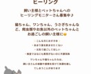 飼い主さんと一緒にペットヒーリング行います ペットの不調は飼い主さんの心が原因かもしれません イメージ1