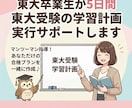 5日間東大受験の学習計画実行サポートします 一緒に計画を立てて欲しい、進捗管理サポートをして欲しい方へ イメージ1