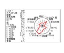 普段の食事の栄養計算をします 食事バランスを整えて、毎日元気に過ごそう！ イメージ2