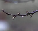 電話でお話ししながら、一緒に気持ちを整理します 1分～でも･:*　もやもや｜不安｜吐き出し イメージ2