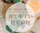 Canva対応◎インスタ投稿画像を5枚作成します 投稿内容が決まっていなくてもOK！相談しながら制作します イメージ4