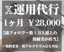 丸投げOK！あなたに代わり1ヶ月間運用を代行します Xのプロがフォロワー、エンゲージメント増加を完全サポート！ イメージ1