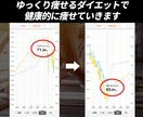 継続専用-90日間ダイエットをサポートします きつい運動や糖質制限なし！健康的な方法で痩せる！ イメージ2