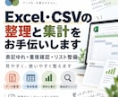 Excel・CSVの整理と集計をお手伝いします 表記ゆれ・重複を確認し、使いやすい表に整えます イメージ1