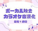 ボーカル除去・音声加工でカラオケ化音源を作成します 2曲3000円！生成AI音源OK！キー変更可/最短1週間納品 イメージ1