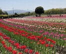 人生経験豊富な大人が親身にアドバイスします ~真剣なお悩みを聞いてほしい方大歓迎です~ イメージ6
