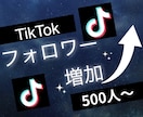 TikTokのフォロワー500人増やします ティックトックで衝撃のコスパで保証付き！ イメージ4