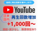 YouTube国内再生数1000回〜増やします ☆高品質☆減少補償☆日本エリア再生数+100回サービス中！ イメージ1