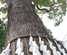 あなたの過去世鑑定します 人間関係の疑問解消や今後のヒント知りたい方 イメージ1