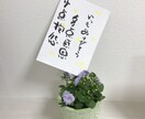 筆ペンで心温まる文字を書きます 部屋、玄関先、お手洗いなどで飾ります。 イメージ1