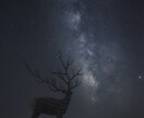 今まで撮ってきた様々な風景写真を提供致します ご要望の写真がなかった場合、新規写真の撮影代行も致します。 イメージ10