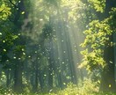 お仕事、ご家族、友人関係など、なんでもお聞きします 悩みを話して、一つ一つ解決していきまょう。 イメージ2