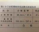 ケアマネ試験の勉強法から問題解説までサポートします 看護師国試必修満点！ケアマネ全科目満点〈自己採点〉 イメージ2
