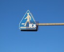 写真の素材を提供いたします シンプルかつ綺麗だと思っていただける素材を提供 イメージ1