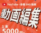 初めてでも安心！丁寧な動画編集をいたします 「動画編集、難しそう…」を解決！初めての方でも理想の動画に! イメージ1