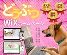 Wix｜更新簡単！動物の魅力を伝えるHP制作します お店の看板猫ちゃん犬ちゃんアピールにも！スマホ対応！ イメージ1
