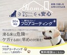バナー・ヘッダー画像の制作を承ります 満足いただけるまで無制限で修正いたします！ イメージ4
