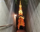 夢、恋愛、仕事、愚痴等なんでもお話し相手になります 知り合いに言えないことをとにかく誰かに聞いて欲しい方へ イメージ5