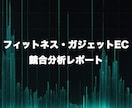 フィットネス・ガジェットECの競合分析をします 上位5社を徹底解剖｜参入前・改善どちらも対応 イメージ1