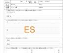新卒採用の就活生へ、エントリーシート（ES）添削します。 イメージ1