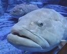 あなたの人生をカスタマイズします 【普通】なあなたの人生を、自分だけの人生にカスタマイズ イメージ1