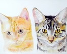 データ配送⚠大切な可愛い愛猫の似顔絵お描き致します 猫ちゃんの誕生日・天国の猫ちゃんに・猫ちゃんを絵にしたい方へ イメージ3